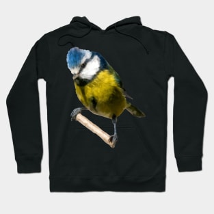 Blue Tit Hoodie